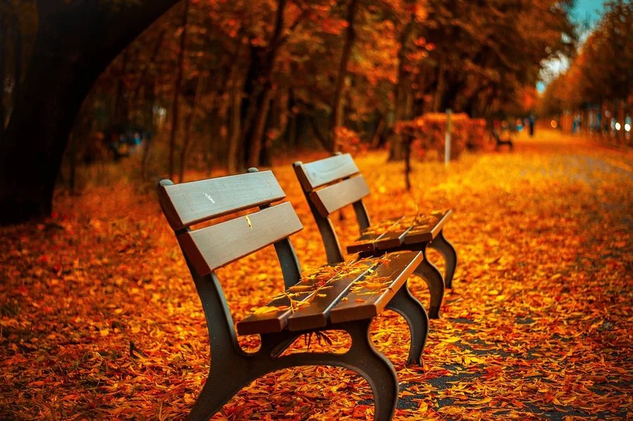 Moscow VDNKh park benches and wheelchair accessible pathways elderly couple