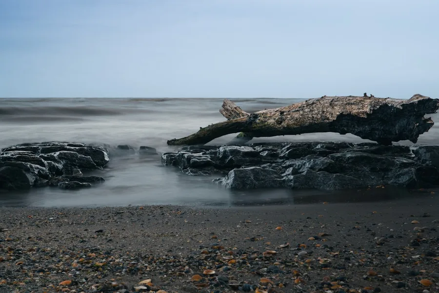 Caspian Sea Dagestan Russia