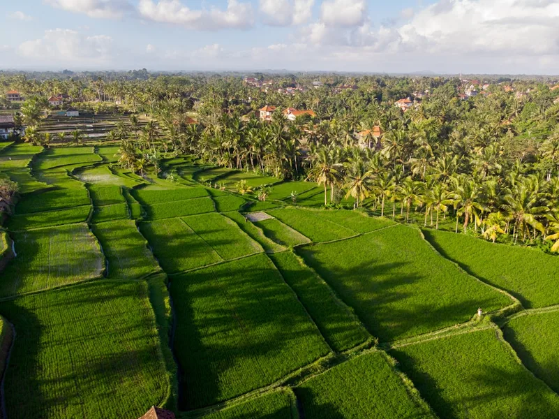 digital nomad budget apartment Bali Indonesia hidden costs