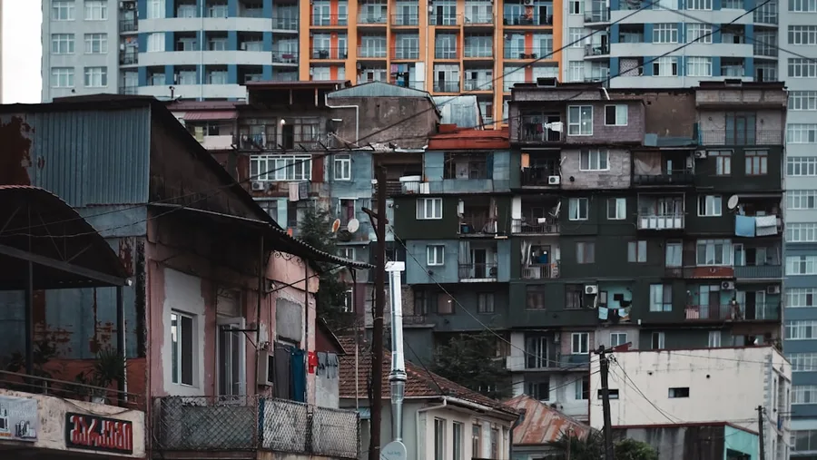 budget pet-friendly hostel in Batumi Georgia