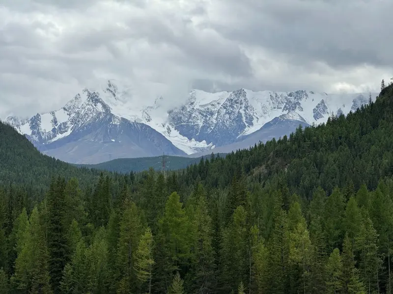 A-frame cabin blending into pine forest Altai