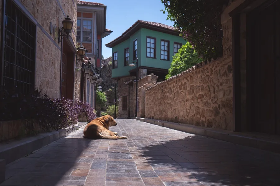 hidden pet fee notice at hotel reception Antalya Turkey economy travel