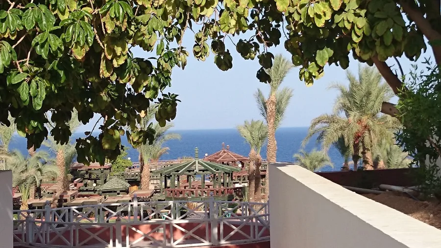 solo traveler counting money budget hotel Sharm