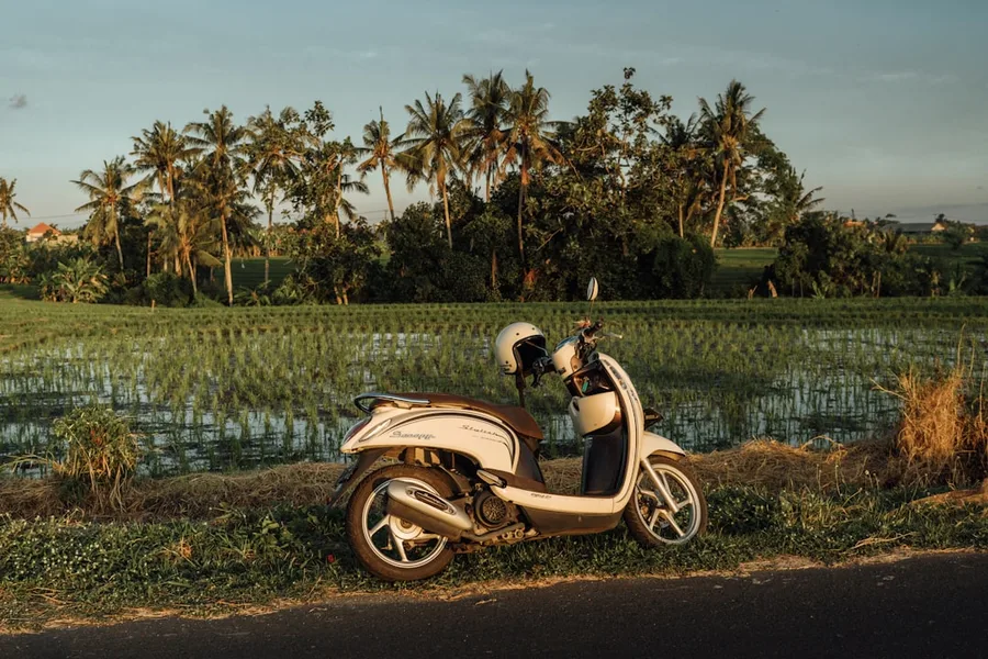 budget scooter rental Bali Indonesia Kotor Montenegro