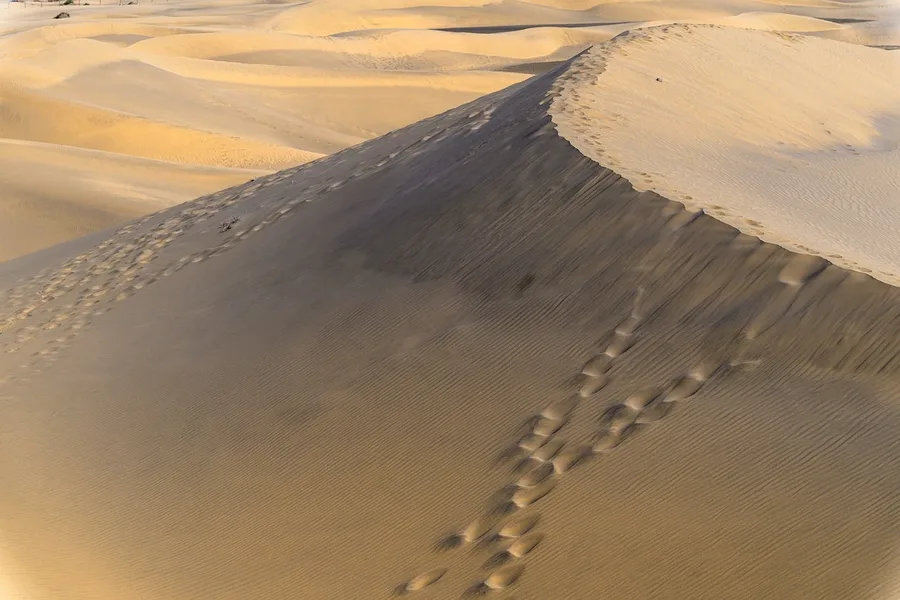 Kurshskaya Kosa dunes Baltic Sea cycling solo traveler Russia Cali Colombia