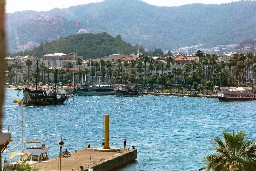 Turkish e-visa application screen Turkey Marmaris Turkey