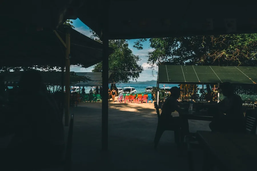 solo traveler with dog in cabin budget airline Phuket Thailand