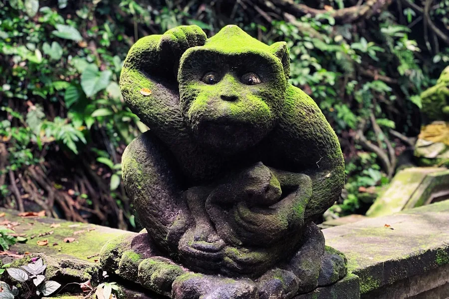 Sacred monkey forest Ubud dress code sign Bali Indonesia