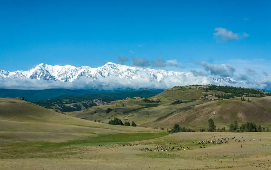 Altai mountains Russia