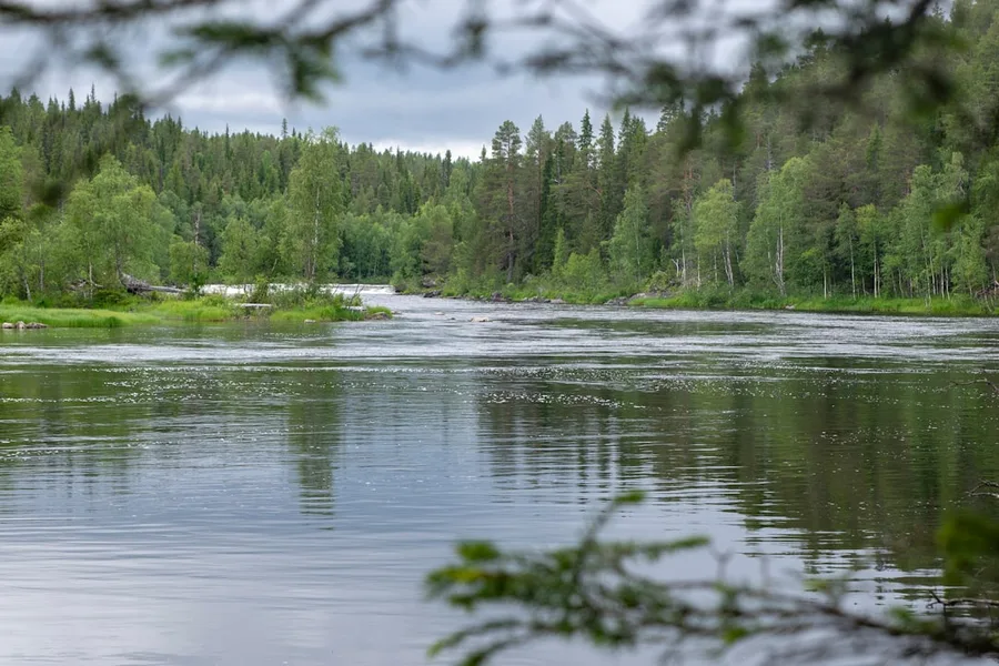Karelia Russia lake forest