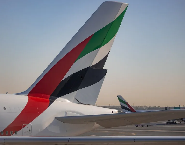 Dubai airport customs inspection UAE Kotor Montenegro