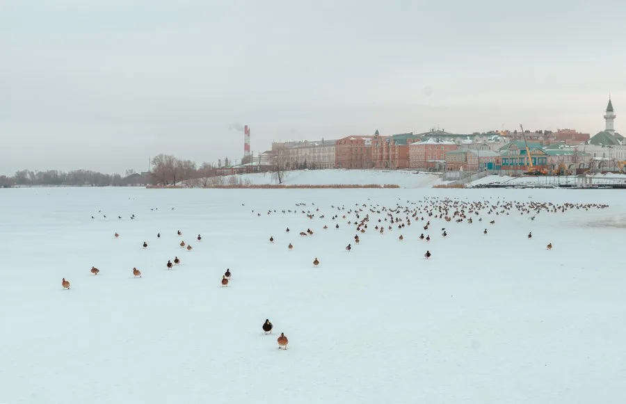 Билеты Москва — Казань на 22 сентября за 1980 ₽