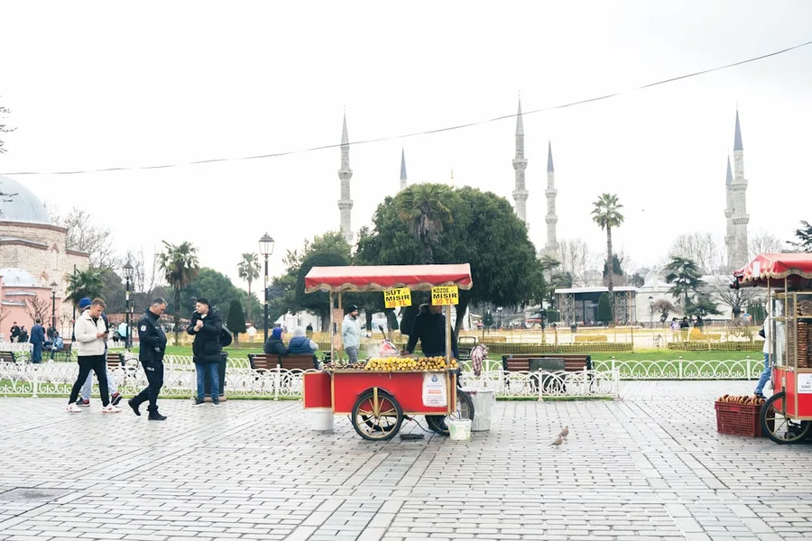 Istanbul street food simit balık ekmek döner Turkey