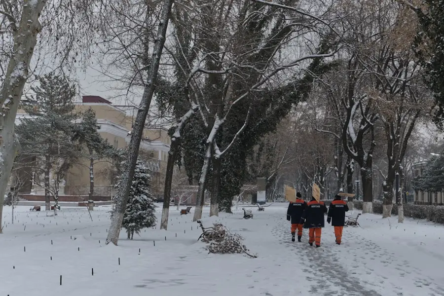 Tashkent Chorsu Bazaar plov winter
