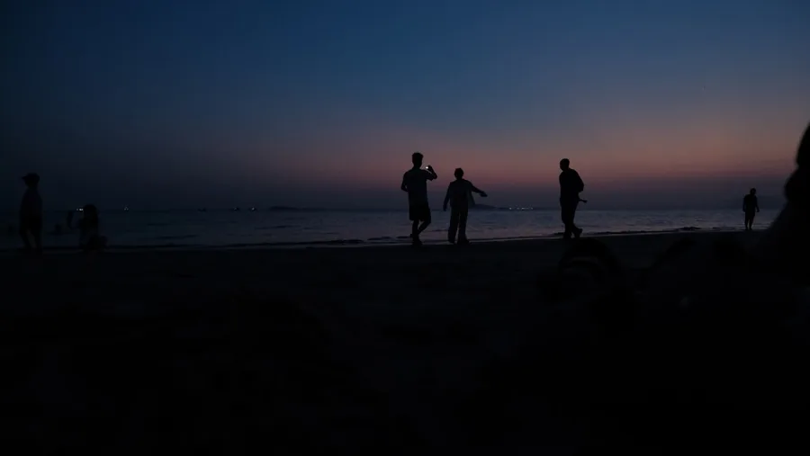 Sanya beach group friends with dog playing China
